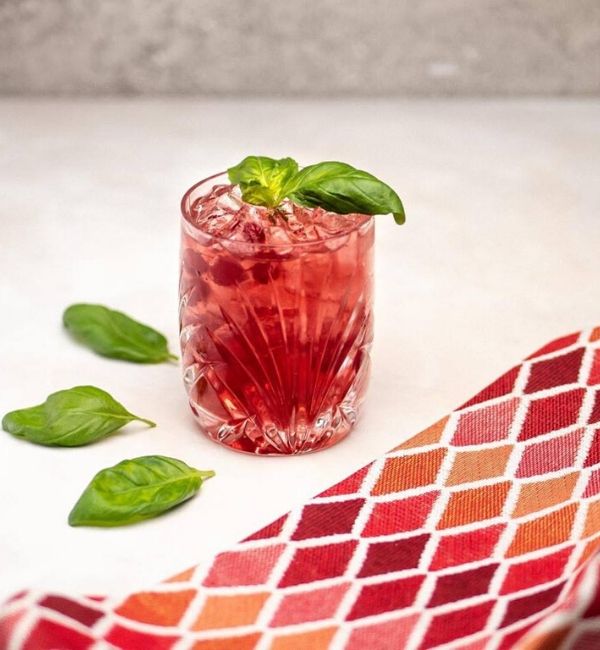 modo puolukka gin tonic